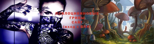 винт Алексеевка
