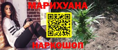 шишки Моздок