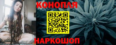 шишки Моздок