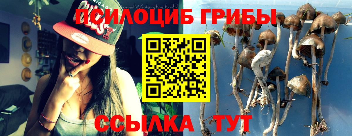 Псилоцибиновые грибы Cubensis Петропавловск-Камчатский