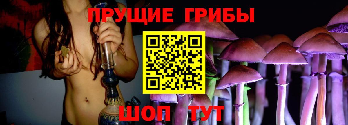 магазин продажи наркотиков  Галлюциногенные грибы Cubensis  Вход с VPN  Петропавловск-Камчатский 